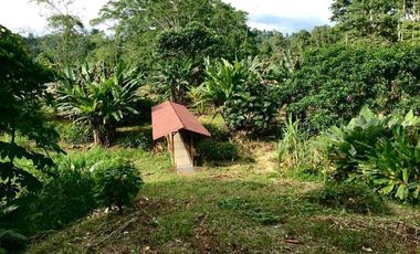 Venta lotes de terreno en Puerto Quito de 650m2