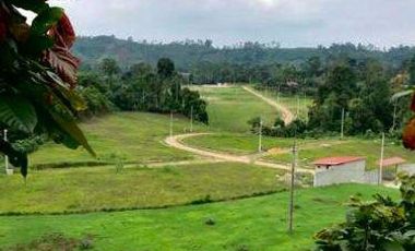 Venta lotes de terreno en Puerto Quito de 650m2