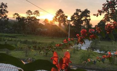 Venta lotes de terreno en Puerto Quito de 650m2