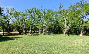 Importante Casa con 5 Dormitorios   Bosquecito propio