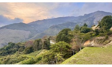 Venta de Lote en Norteamérica