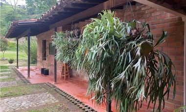FINCA VEREDA EL TOTUMO, GIRARDOTA, ANTIOQUIA