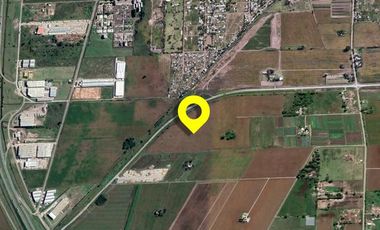 Venta Campo 8 ha ante puerto - Alvear
