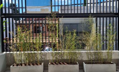Departamento en  Alquiler