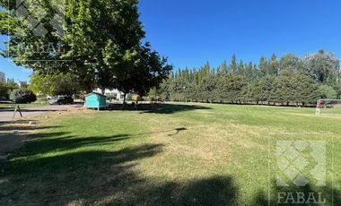 Casa venta La Comarca, Centenario, 3/4 dormitorios, 3 baños, cochera y jardín con pileta
