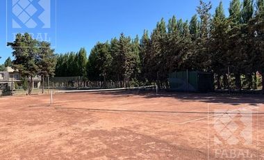 Casa venta La Comarca, Centenario, 3/4 dormitorios, 3 baños, cochera y jardín con pileta