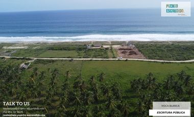 Lote de 1 Hectárea a unos pasos de la playa, El Venado (Roca Blanca)