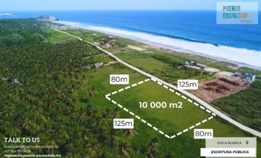 Lote de 1 Hectárea a unos pasos de la playa, El Venado (Roca Blanca)