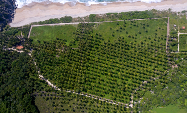 Ultimos 4 lotes pie de playa en Roca Blanca