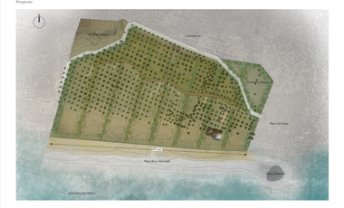 Ultimos 4 lotes pie de playa en Roca Blanca