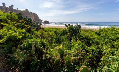 Ultimos 4 lotes pie de playa en Roca Blanca