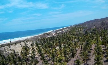 Ultimos 4 lotes pie de playa en Roca Blanca