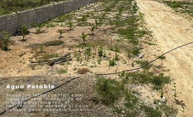 Lotes en Playa Palmarito / Playa Encantada