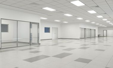 10 HA COMPLEJO SUR proyecto personalizado construccion INDUSTRIAL GODIR OH290719