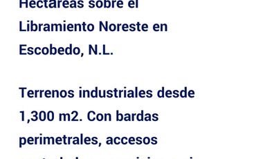 MTY NTE. ESCOBEDO BTS 269,097 ft2 Grandpark Escobedo II GRANDIR LR 020824