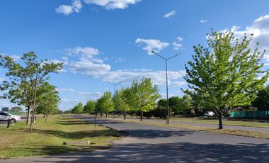 Navarrete Propiedades - Lote interno con fondo verde en Santa Lucia Pilar del Este