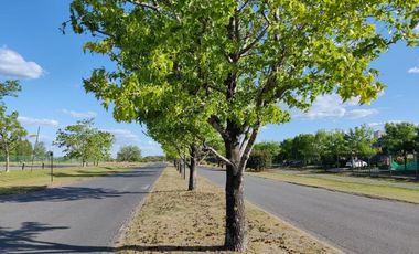 Navarrete Propiedades - Lote interno con fondo verde en Santa Lucia Pilar del Este