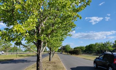 Navarrete Propiedades - Lote interno con fondo verde en Santa Lucia Pilar del Este