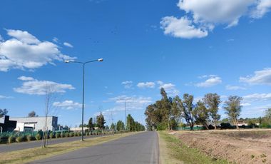 Navarrete Propiedades - Lote interno con fondo verde en Santa Lucia Pilar del Este