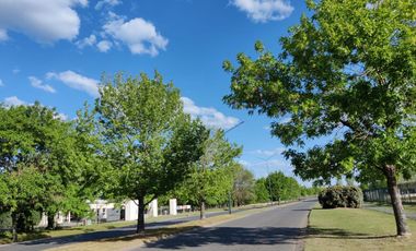 Navarrete Propiedades - Lote interno con fondo verde en Santa Lucia Pilar del Este