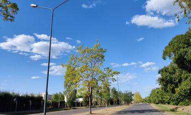 Navarrete Propiedades - Lote en venta en Santa Elena Pilar del Este