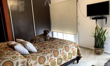 Casa 3 dormitorios Zona Sur con pileta seguridad 24hs Terranova 2