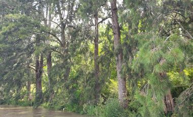 Terreno venta Delta Tigre
