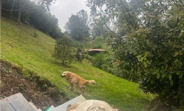 Vendo casa de gran valor en envigado LOMA del escobero