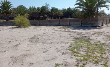 Parcela en Venta en EL PINO- RAPEL