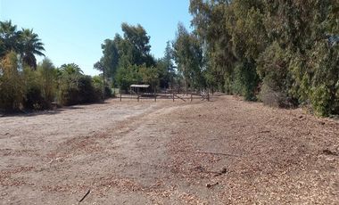 Parcela en Venta en EL PINO- RAPEL