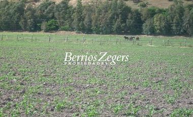 Agrícola en Venta en  Calera de Tango