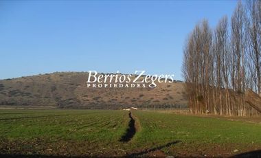 Agrícola en Venta en  Calera de Tango