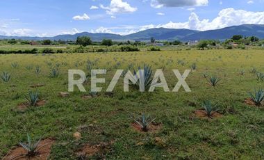 TERRENO COMERCIAL EN VENTA - (3)