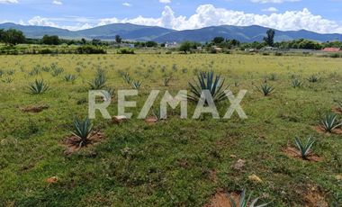 TERRENO COMERCIAL EN VENTA - (3)