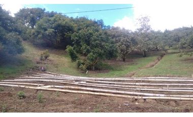 FINCA EN GUARNE VEREDA MEJIA GUAPANTE