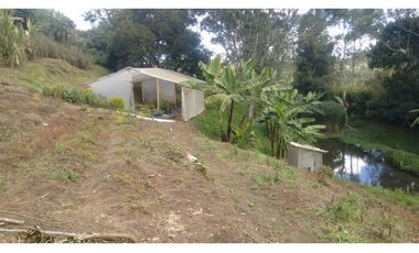 FINCA EN GUARNE VEREDA MEJIA GUAPANTE