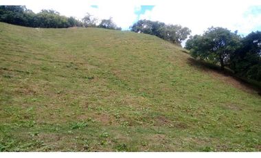 FINCA EN GUARNE VEREDA MEJIA GUAPANTE