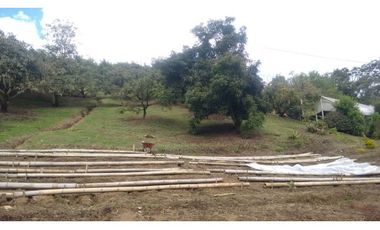 FINCA EN GUARNE VEREDA MEJIA GUAPANTE