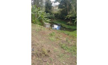 FINCA EN GUARNE VEREDA MEJIA GUAPANTE