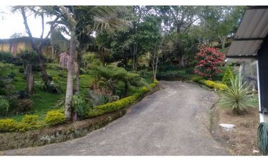 FINCA EN GUARNE VEREDA MEJIA GUAPANTE
