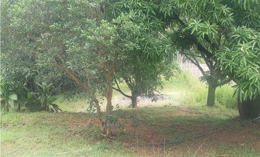 Finca en san Jerónimo  el hato