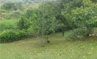 Finca en san Jerónimo  el hato