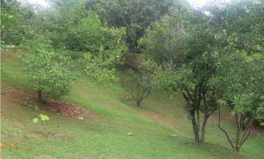 Finca en san Jerónimo  el hato