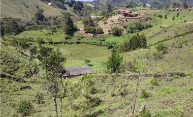 Finca en venta Marinilla 43.000 m2 hermosa panorámica RG