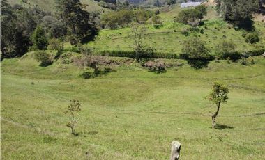 Finca en venta Marinilla 43.000 m2 hermosa panorámica RG