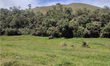 Finca en venta Marinilla 43.000 m2 hermosa panorámica RG