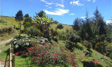 Finca en venta Marinilla 43.000 m2 hermosa panorámica RG