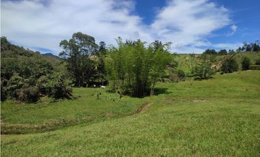 Finca en venta Marinilla 43.000 m2 hermosa panorámica RG