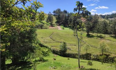 Finca en venta Marinilla 43.000 m2 hermosa panorámica RG