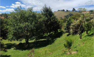 Finca en venta Marinilla 43.000 m2 hermosa panorámica RG